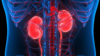 Benign prostatic hyperplasia BPH [upl. by Esiouqrut]