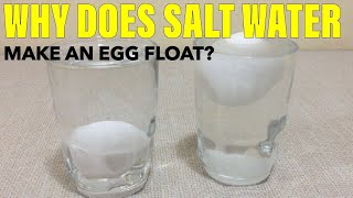 WHY DOES SALT WATER MAKE AN EGG FLOAT  BUOYANCY JamHomeScience Experiment [upl. by Nauwtna163]