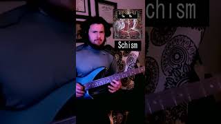 Tool Schism Intro Bass Cover Part 2 [upl. by Dela816]