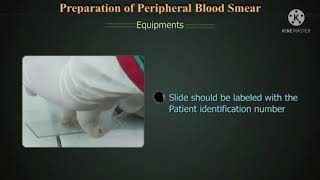 PBF peripheral blood film or PBS peripheral blood smear precdure  uses [upl. by Lyret]