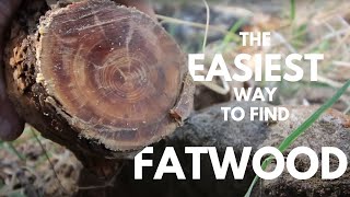 How to find Fatwood The easiest way [upl. by Alocin526]