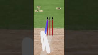 DRS in LBW viralvideo cricket dreamcricket cricketlover shorts lbw drs trending [upl. by Retsae]