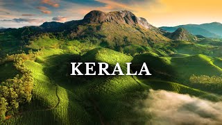 Kerala’s Most Beautiful Place Munnar  South India  Kolukkumalai [upl. by Freberg]