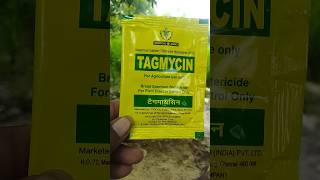 Streptomycin sulphate tetracycline hydrochloride 9010 tagmycin tropical agro antibiotic shorts [upl. by Inavoj]