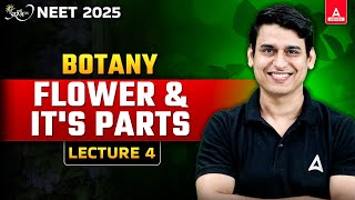 MORPHOLOGY OF FLOWERING PLANTS CLASS 11  FLOWER AND ITS PARTS NEET 2025 PREPARATION  NEET BIOLOGY [upl. by Yffat]