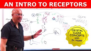 An Intro to Receptors  Types Structure amp Location  Part 1 [upl. by Ultan936]