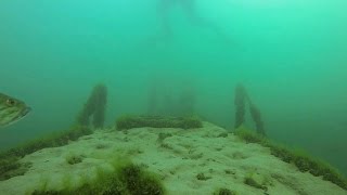 Scuba Diving Lake Havasu [upl. by Emilia]