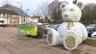 Yvelines  Le broyage de sapins  un geste écologique [upl. by Delastre]