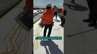 Commercial Roofing 101 Fully Adhered TPO👷🏼‍♂️ roofing construction flatroof commercialroofing [upl. by Elatsyrk6]