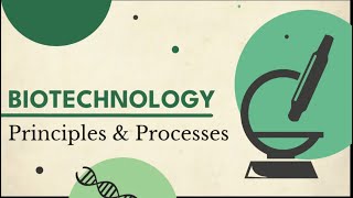 Biotechnology  principles and Processes  One shot  Target 360  NEET [upl. by Veljkov776]