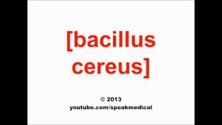 Pronounce Bacillus cereus  SpeakMedical [upl. by Aianat]