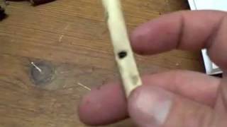 Make A Bird Bone Whistle [upl. by Tessa12]