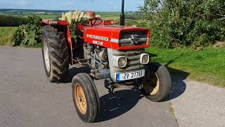 MASSEY FERGUSON 135 Courtmacsherry Machinery [upl. by Danika]