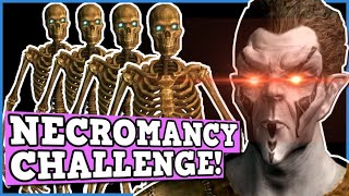 SKYRIM NECROMANCY ONLY CHALLENGE IS BROKEN  Skyrim is a Perfectly Balanced game with no exploits [upl. by Ellatnahc]