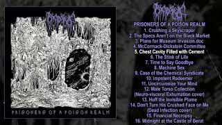 Nyctophagia  Prisoners of a Poison Realm FULL ALBUM 2023  Goregrind [upl. by Ellicec]