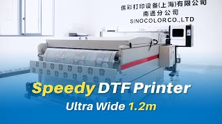 Ultra Wide 12m DTF Garment Printer DTF1200S [upl. by Idoj]