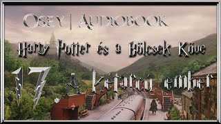 Harry Potter és a Bölcsek Köve hangoskönyv  17 fejezet [upl. by Fineberg]