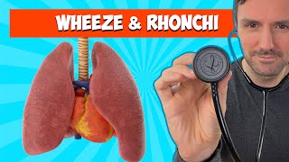 Adventitious Breath Sounds Stridor Wheezes  Rhonchi Crackles  Rales and Pleural Rub  Ausmed [upl. by Odnalra417]