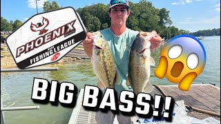 I Caught some BIG BASS at the Lake Lanier SUPER TOURNAMENT BFL [upl. by Ludwog]