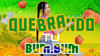 QUEBRANDO TU BUMBUM 🇧🇷 BRASILERO ✘ El Aleex Deejay [upl. by Akemed916]