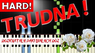 🎹 Białe róże pieśń patriotyczna  Piano Tutorial TRUDNA wersja 🎵 NUTY W OPISIE 🎼 [upl. by Namdor]