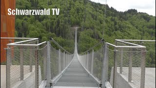 🚨🚁 Blackforestline Spektakuläre Hängebrücke Todtnauberg  120 Meter über dem Wasserfall [upl. by Micki]