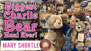 Biggest Charlie Bear Haul Ever [upl. by Cal]