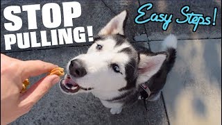 STOP Your Husky From Pulling On The Leash Easy Steps To A Smooth Walk [upl. by Silda695]