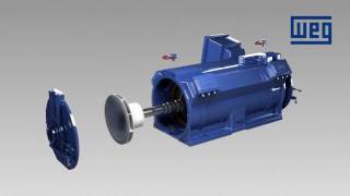 WEG Water Jacket Cooled Motors  WGM Line [upl. by Dannon]