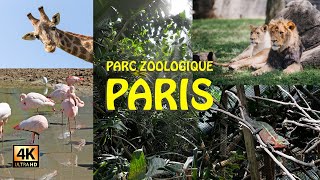 Parc Zoologique De Paris A Wild Adventure In The City Of Love [upl. by Attiuqal126]