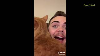 Cooter The Talking Cat Part 2  Funny Animals  Tiktok [upl. by Oicul]