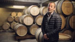 La légende des Grands Crus blancs de Montrachet [upl. by Lupien]