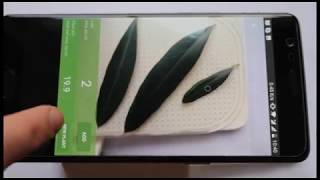 How to Quickly and Easily Measure Leaf Area with Your Smartphone  Petiole App StepbyStep Guide [upl. by Hterrag]