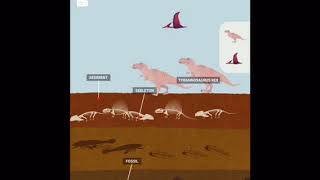 The Earth Tinybopfossil time 🦖🦕🦖🦕 [upl. by Aivatan]