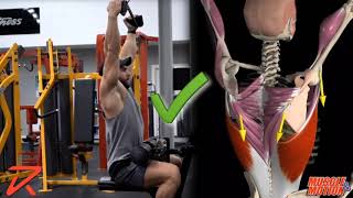 How to Do a Lat Pulldown  Common Mistake [upl. by Burnard]