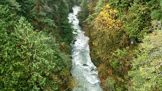 West Fork Humptulips River  Kayak [upl. by Akimyt]