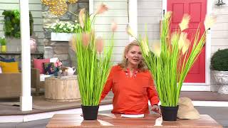 Compass Home Potted Decorative Faux Pampas Grass on QVC [upl. by Cathie]