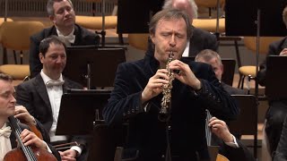 Albrecht Mayer – JS Bach Arioso from Cantata 156 Sinfonia [upl. by Eirolam]