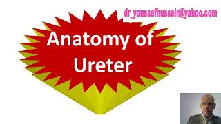 Anatomy of ureter  Normal constrictions  Relations  Pelvic part  Identification at operation [upl. by Yerffoeg]