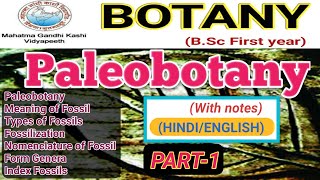 PaleobotanyPalaeobotanyFossilTypes of Fossils [upl. by Ginelle]