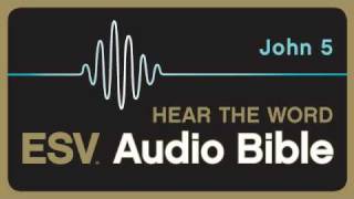 ESV Audio Bible Gospel of John Chapter 5 [upl. by Cockburn]