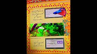 zoroaster poetry quotations wisdom advice aquarium calmness انگلیسی آموزش شعر ادبیات [upl. by Akeem837]