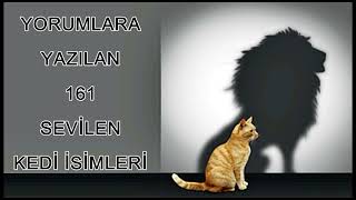 Yorumlara Yazılan 161 Kedi İsimleri  Beğenilen Sevilen Popüler İsimler [upl. by Libenson]