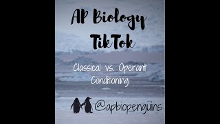 AP Bio TikTok Operant vs Classical Conditioning [upl. by Aisek]