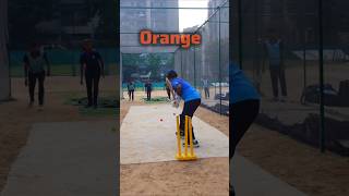 FUN🥰 Batting Drills  cricket practice Batting Drills cricket crickettechnique cricketlovers [upl. by Esdnyl]