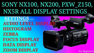 SONY NX200  NX100  PXW150  NX 5R DISPLAY SETTINGS  HISTOGRAM  ZEBRA  DATA  FOCUS SETTINGS [upl. by Chisholm]