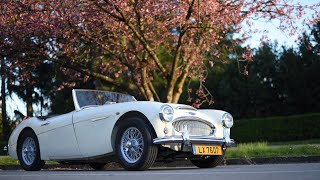 2 years restoring Austin Healey 3000 MkII [upl. by Hallee]