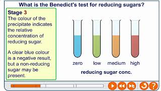 Benedicts test for reducing and nonreducing sugars [upl. by Past]