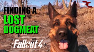 Fallout 4  How to Find a Lost DogmeatCompanion Fallout 4 Guides [upl. by Arocet]