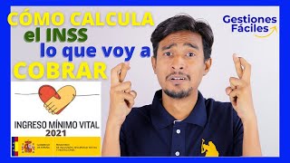 📅👨💰Como CALCULAR lo que vas a COBRAR del Ingreso Mínimo Vital  Ultimas Noticias [upl. by Meece212]